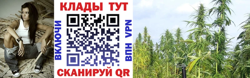 Купить закладку Звенигород Кодеин  Cocaine  ГАШ  Альфа ПВП  АМФ  МЕФ  Конопля 