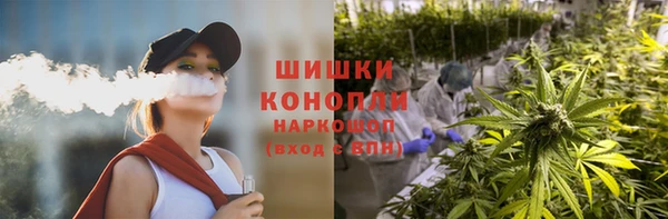 прущая мука Бородино