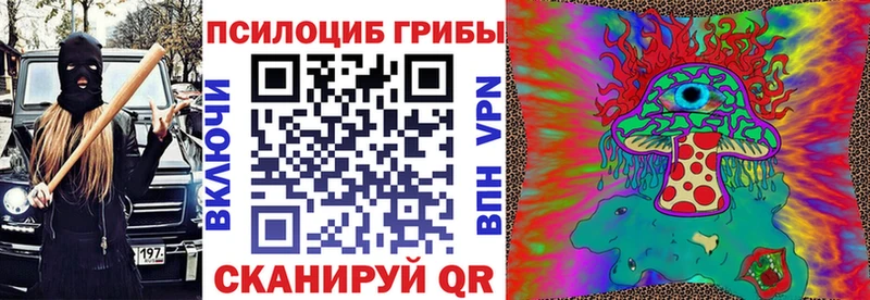Галлюциногенные грибы Psilocybine cubensis  Звенигород 